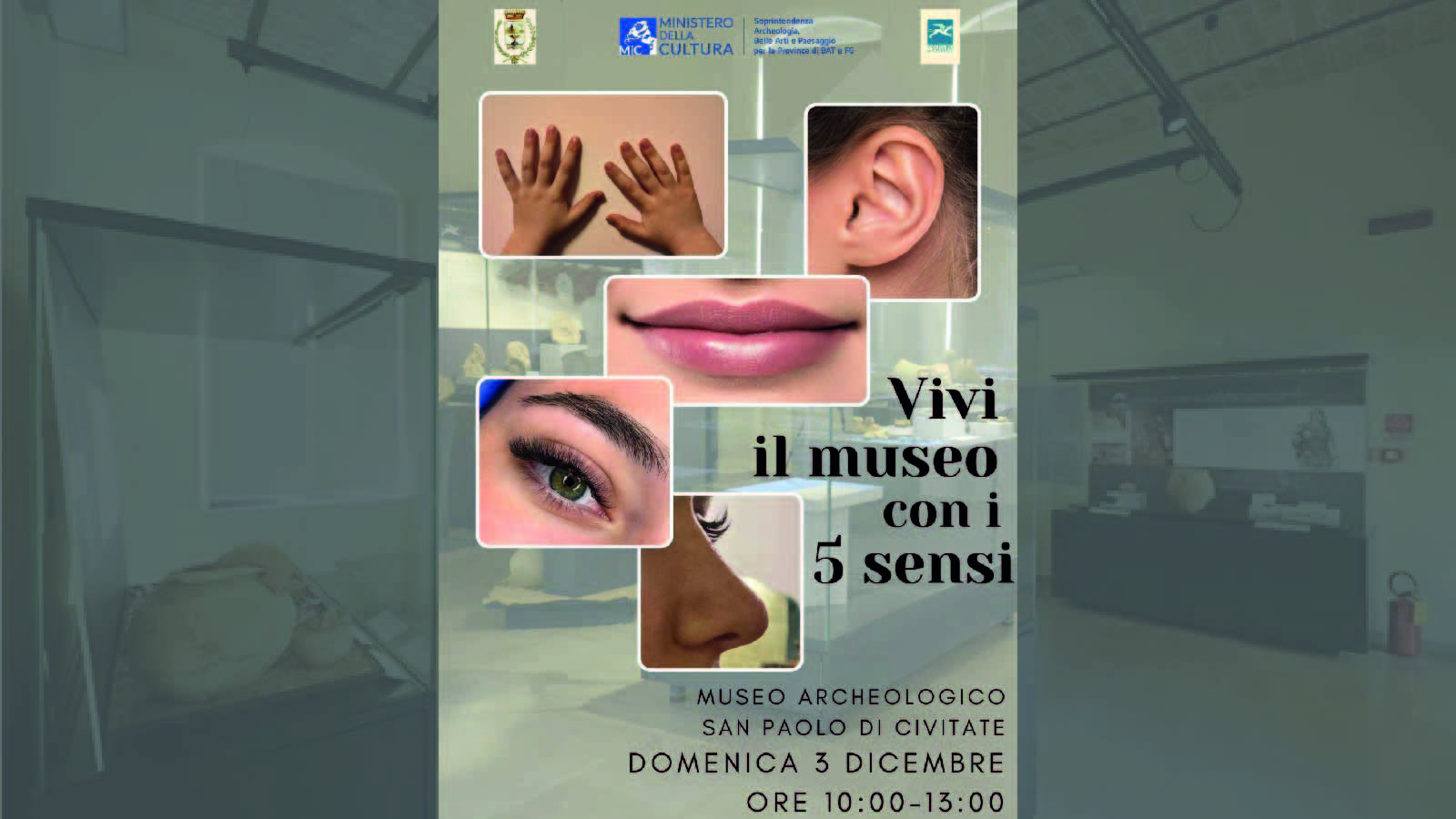 “Un giorno all’anno tutto l’anno”.  Vivi il Museo con i 5 sensi